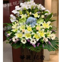 帛事花籃 3031A 